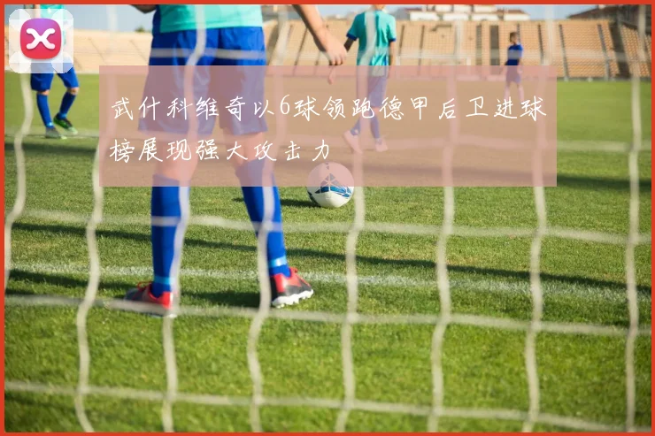 武什科维奇以6球领跑德甲后卫进球榜展现强大攻击力