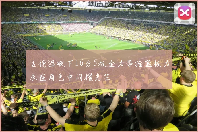 古德温砍下16分5板全力争抢篮板力求在角色中闪耀光芒